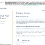 About Kidneys