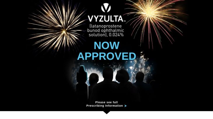 Vyzulta Now Approved Website - Desktop
