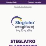 Steglarto Homepage on Mobile