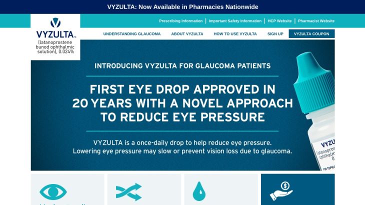Vyzulta Website Screenshots Now Available - Homepage