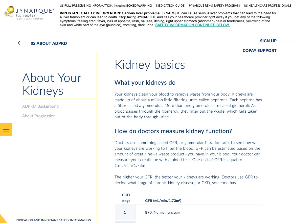 About Kidneys